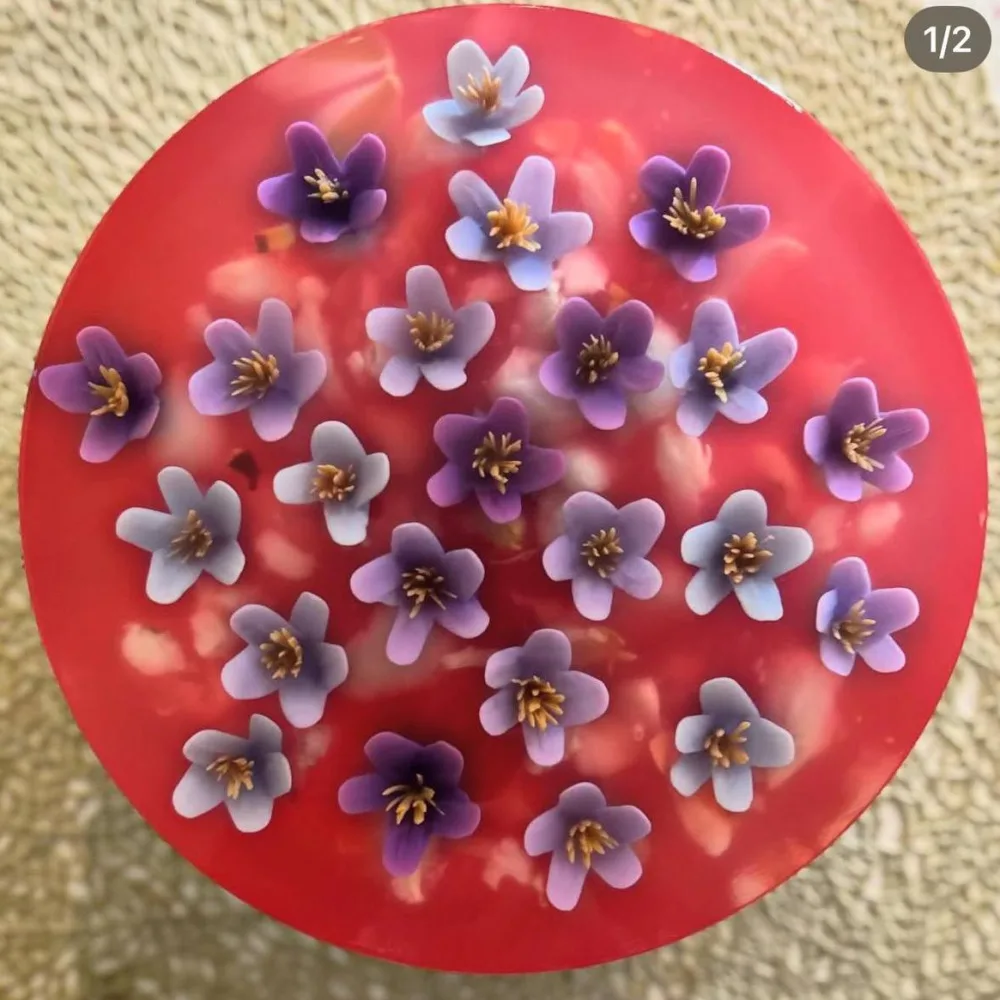 Scarlet Violet Meadow 3D jelly cake, viewed from above